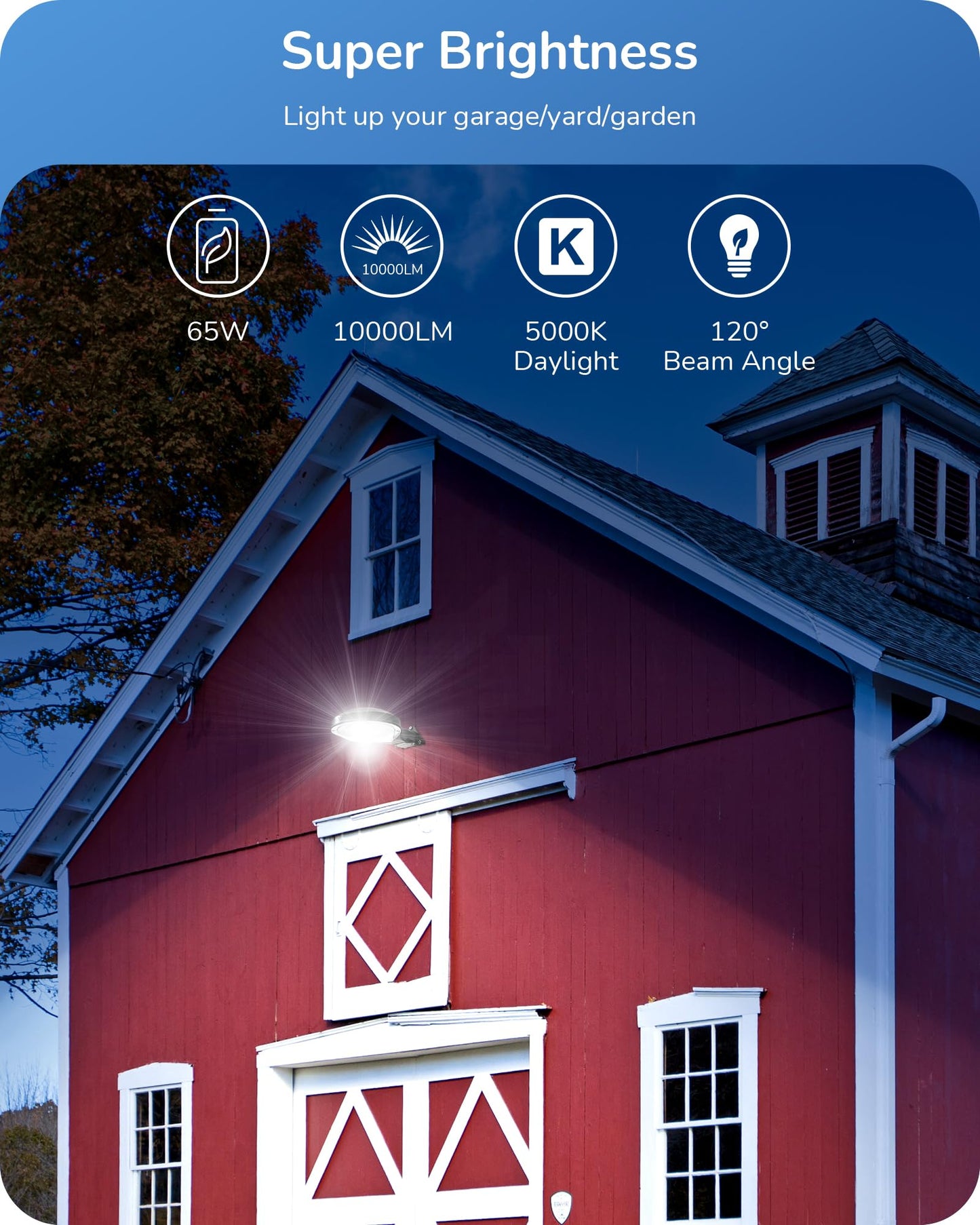 EDISHINE LED Barn Light, 10000LM 65W, Dusk to Dawn, IP65 Waterproof, Black, Model HHBL65A